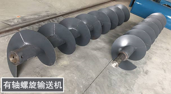 ��������ҶƬ